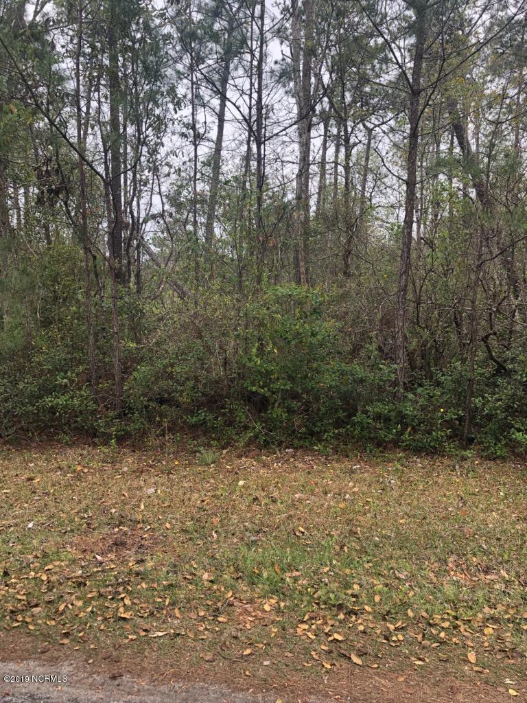 Lot 282 Weathersbee Drive - Photo 1