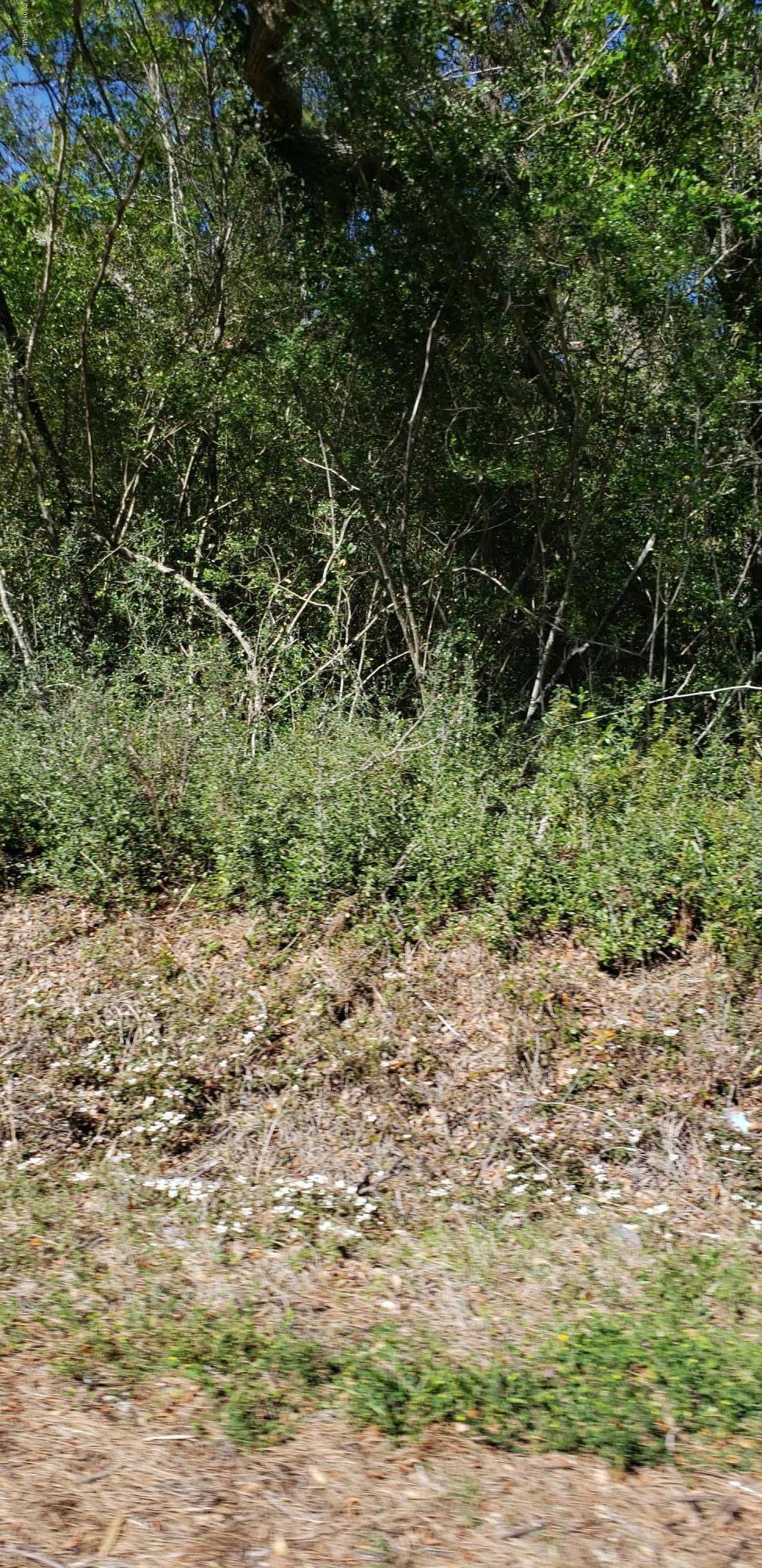 000 Morris Landing Road - Photo 1