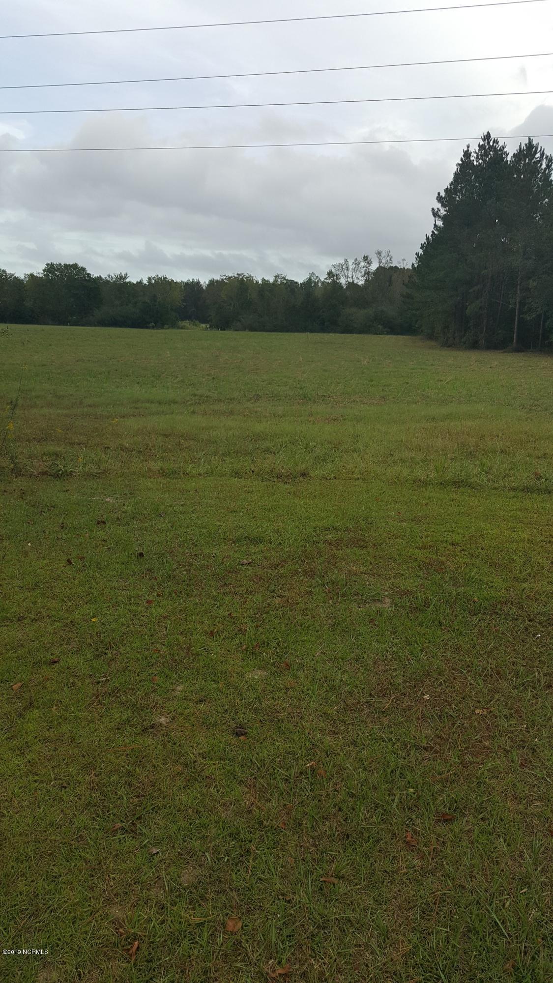 1081 George II Highway - Photo 1