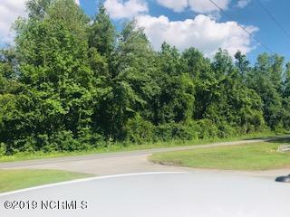 825 Cherry Grove Road - Photo 1