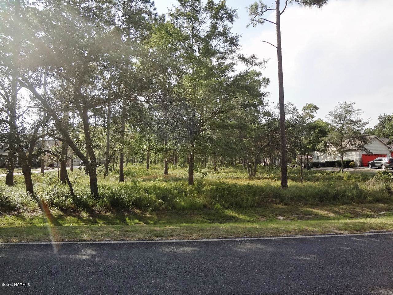 550 Rourks Landing Road - Photo 1