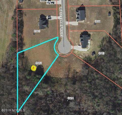 8112 Gentle Breeze Drive - Photo 1