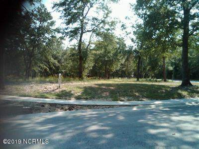 425 Trout Lily Lane - Photo 1