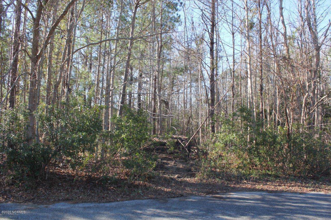 6816 Springer Road - Photo 1