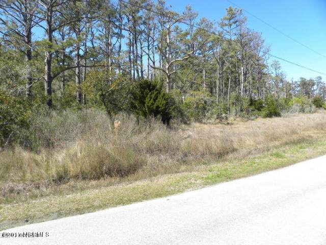 141 Through The Woods Road - Photo 1
