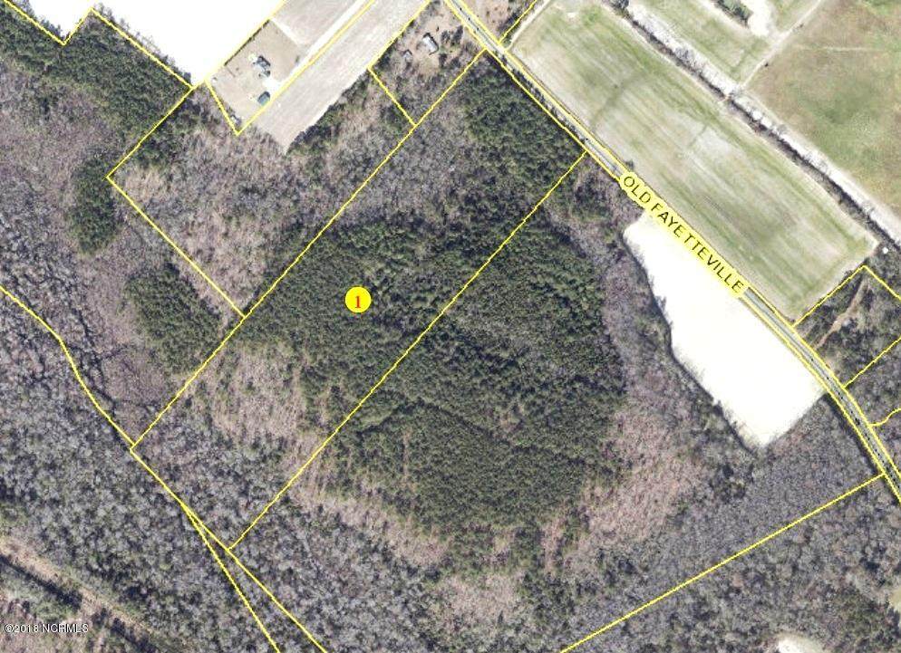 29.6 Acres Old Fayetteville Road - Photo 1 29.6 Acres Old Fayetteville Road - Photo 1