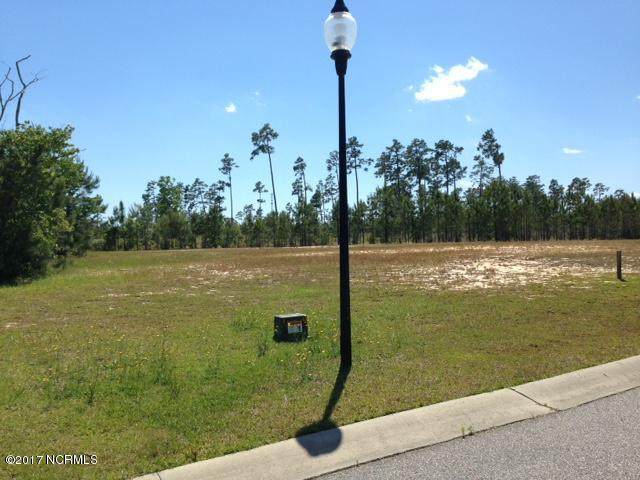 1165 Serotina Drive - Photo 1 1165 Serotina Drive - Photo 1