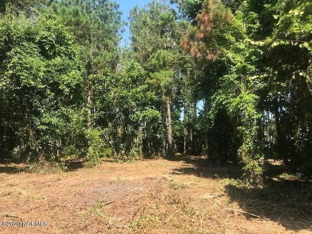 Lots 10-11 Driftwood Lane - Photo 1