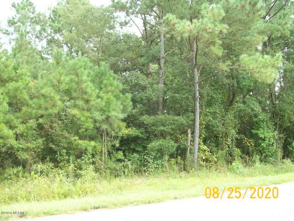 2930 Nc Highway North 111/903 - Photo 1