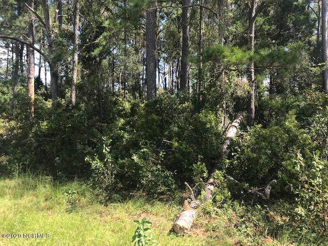 4030 Old Bridge Road - Photo 1