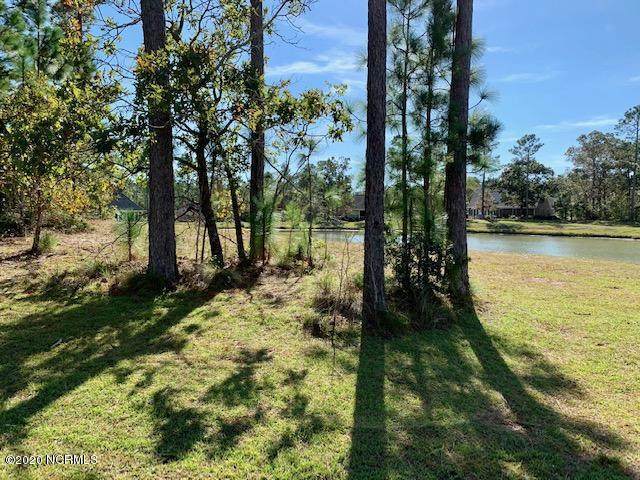 1163 Sabel Loop - Photo 1