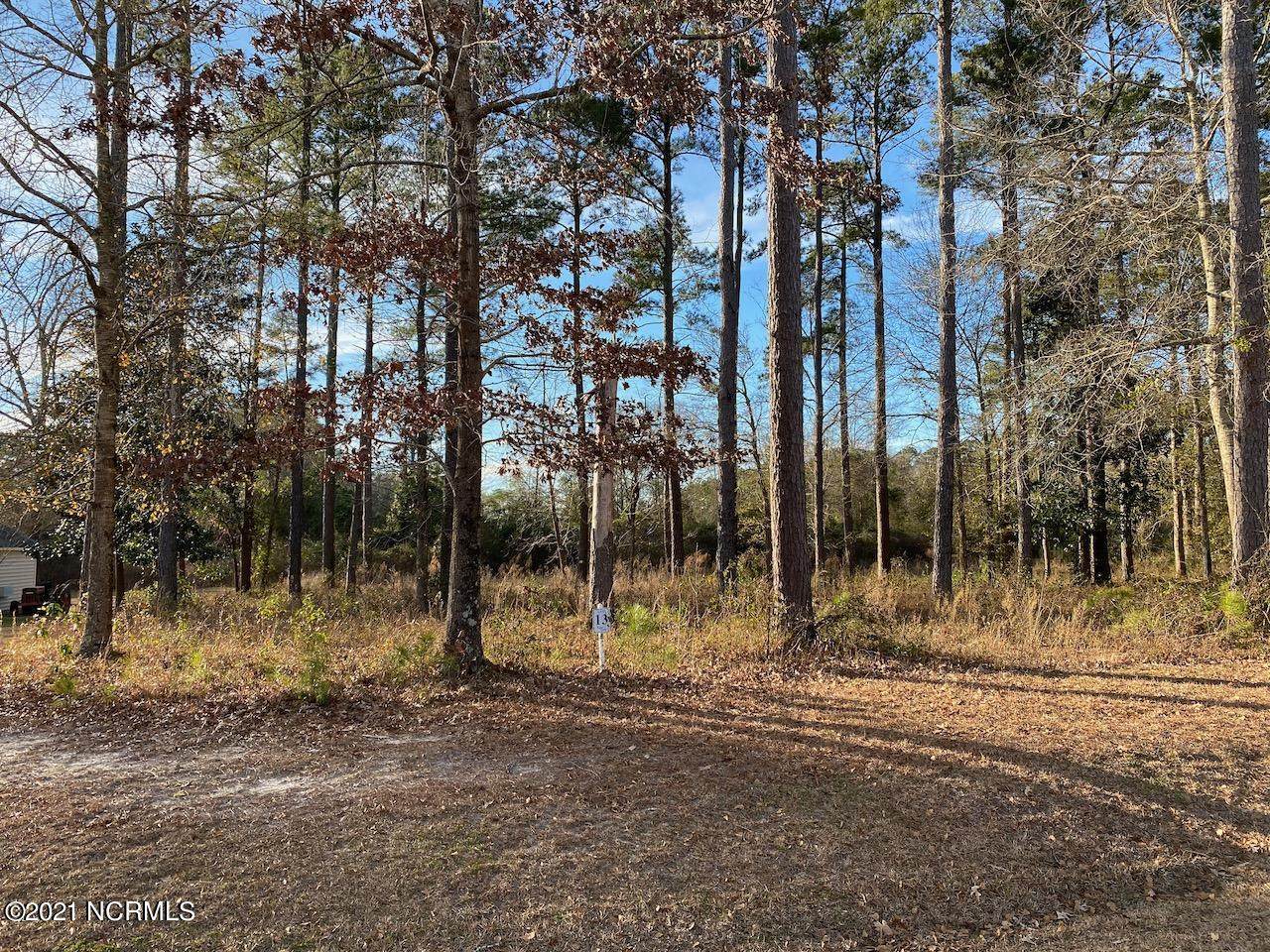 206 Sanderling Lane - Photo 1