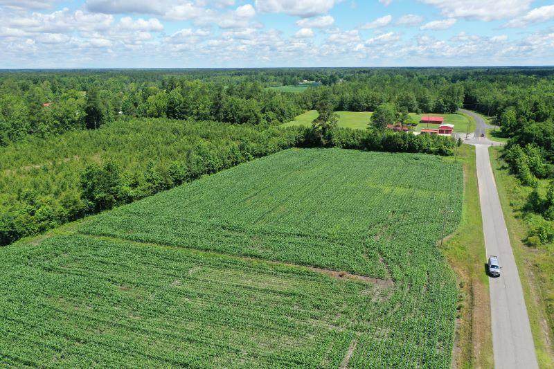 0 Near 895 Blacksmith Road - Photo 1