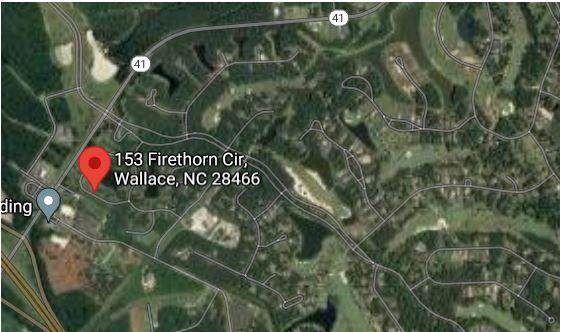 153 Firethorn Circle - Photo 1
