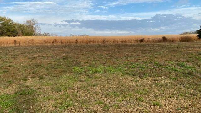 Lot 6 Lloyd Harrison Road - Photo 1
