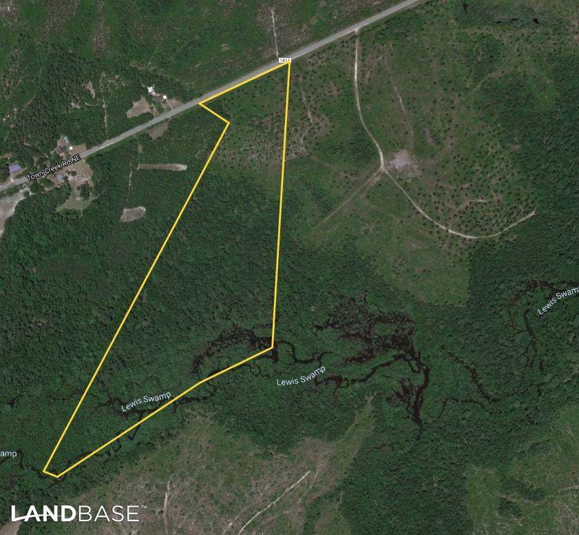0 Town Creek Road - Photo 1
