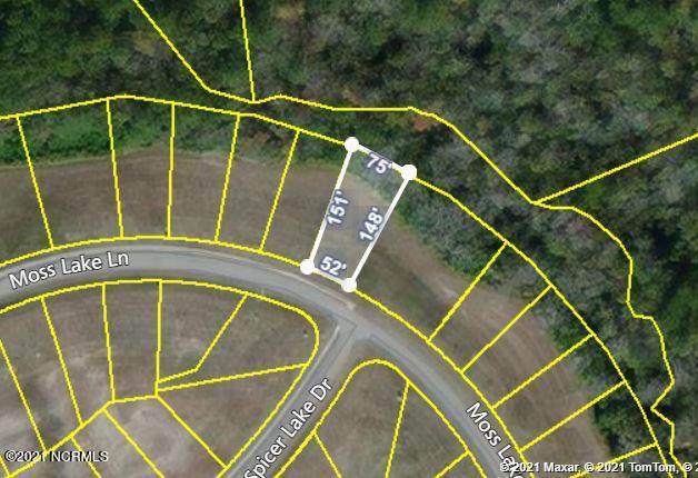 591 Moss Lake Lane - Photo 1