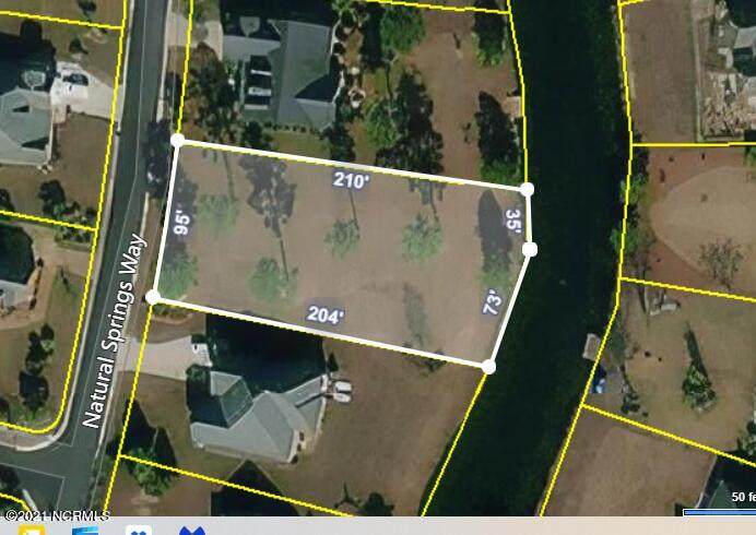 1014 Natural Springs Way - Photo 1