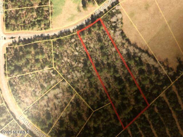 73 Eagel Nest Trail - Photo 1