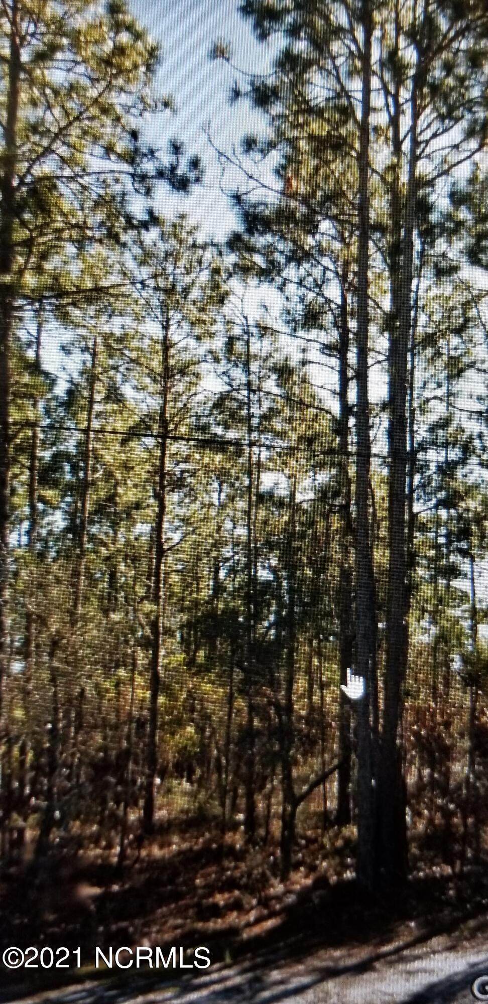 Lot 4 Fifty Lakes Drive - Photo 1