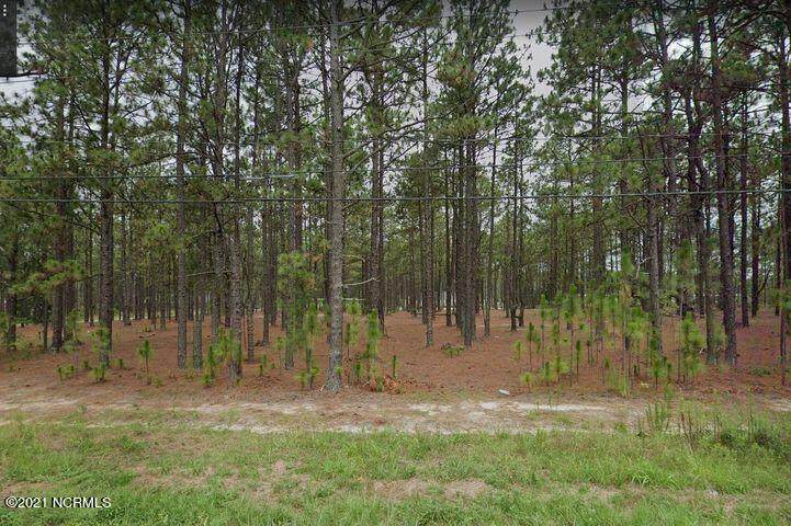 205 Allison Page Road - Photo 1