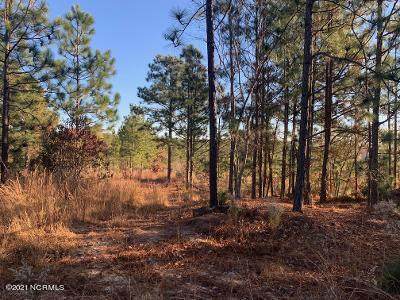 Lot 6 Hoffman Road - Photo 1
