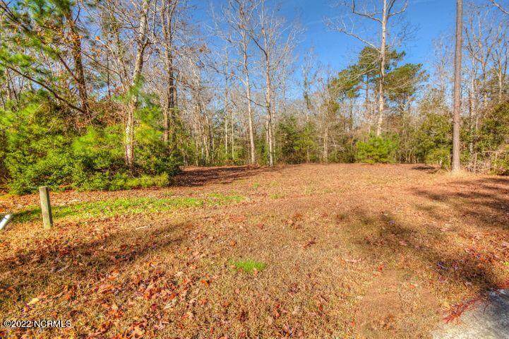 1183 Natal Drive - Photo 1