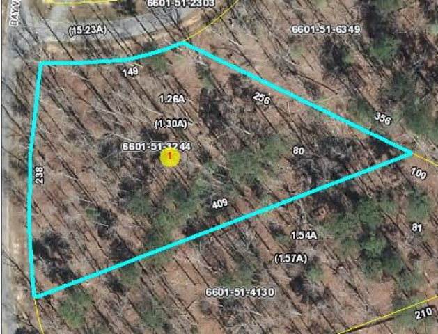 Lot 80 Bayview Drive - Photo 1