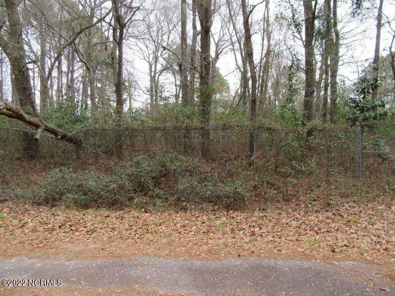 Lot 48 Leatherwood Circle - Photo 1