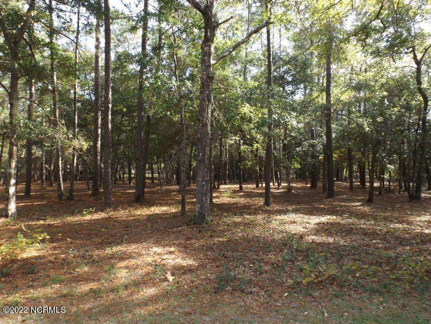 711 Mallard Court - Photo 1