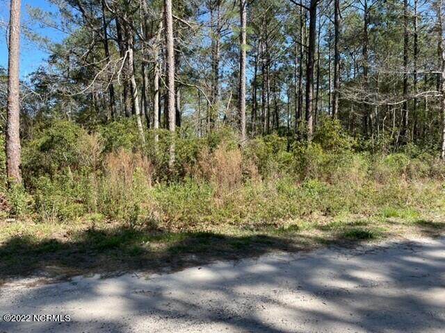506 Dark Oak Street - Photo 1