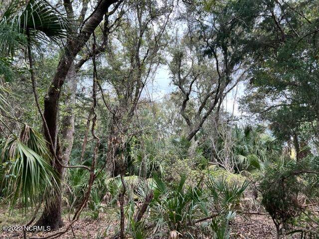 9 Red Cedar Trail - Photo 1