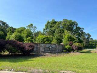 0 Jacks Creek Drive - Photo 1
