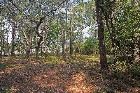 1003 Captain Adkins Drive - Photo 1