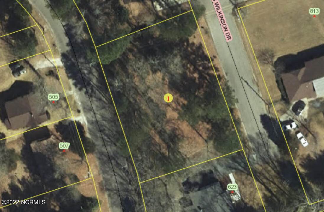 0 Wilkinson Drive - Photo 1