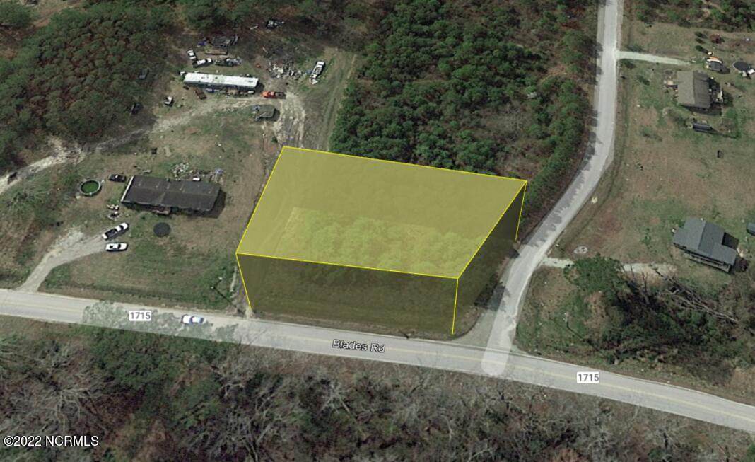 101 Blades Village Drive - Photo 1