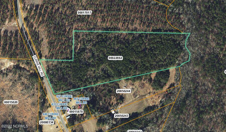 Tbd Currie Mill Road - Photo 1