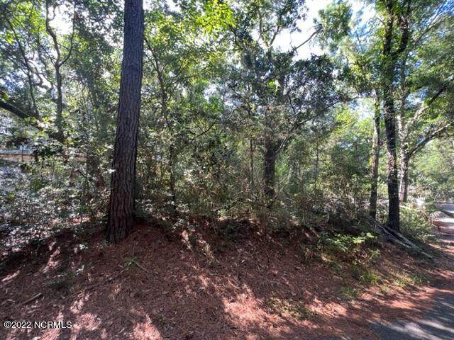 6 Live Oak Trail - Photo 1