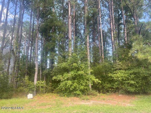 366 Autumn Pheasant Loop - Photo 1