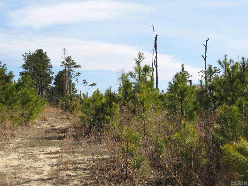 000 Caratoke Highway - Photo 1