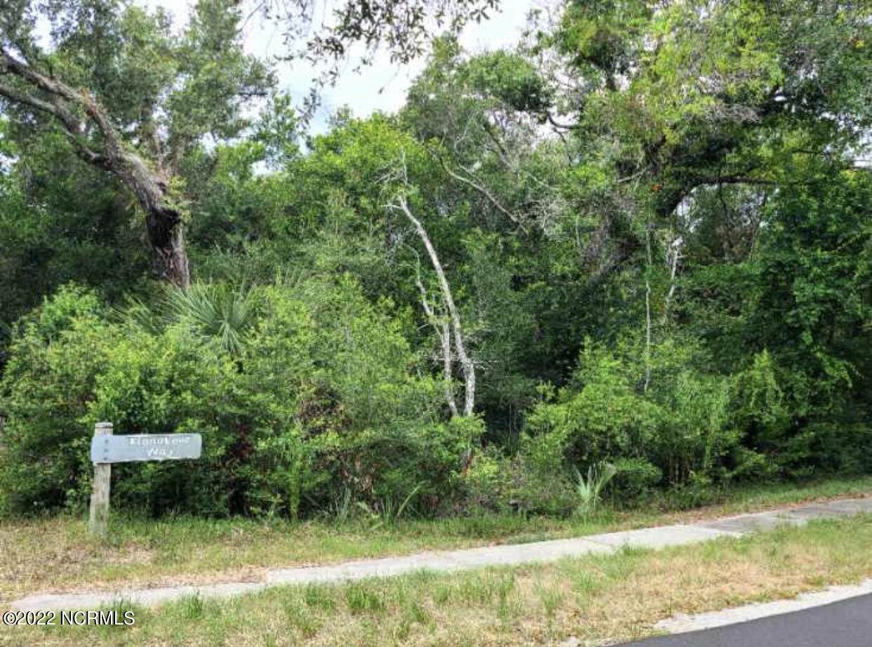 L-5218 Whale Head Way - Photo 1