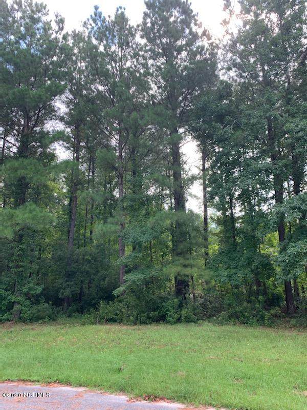 Lot 206 Winding Creek Road - Photo 1