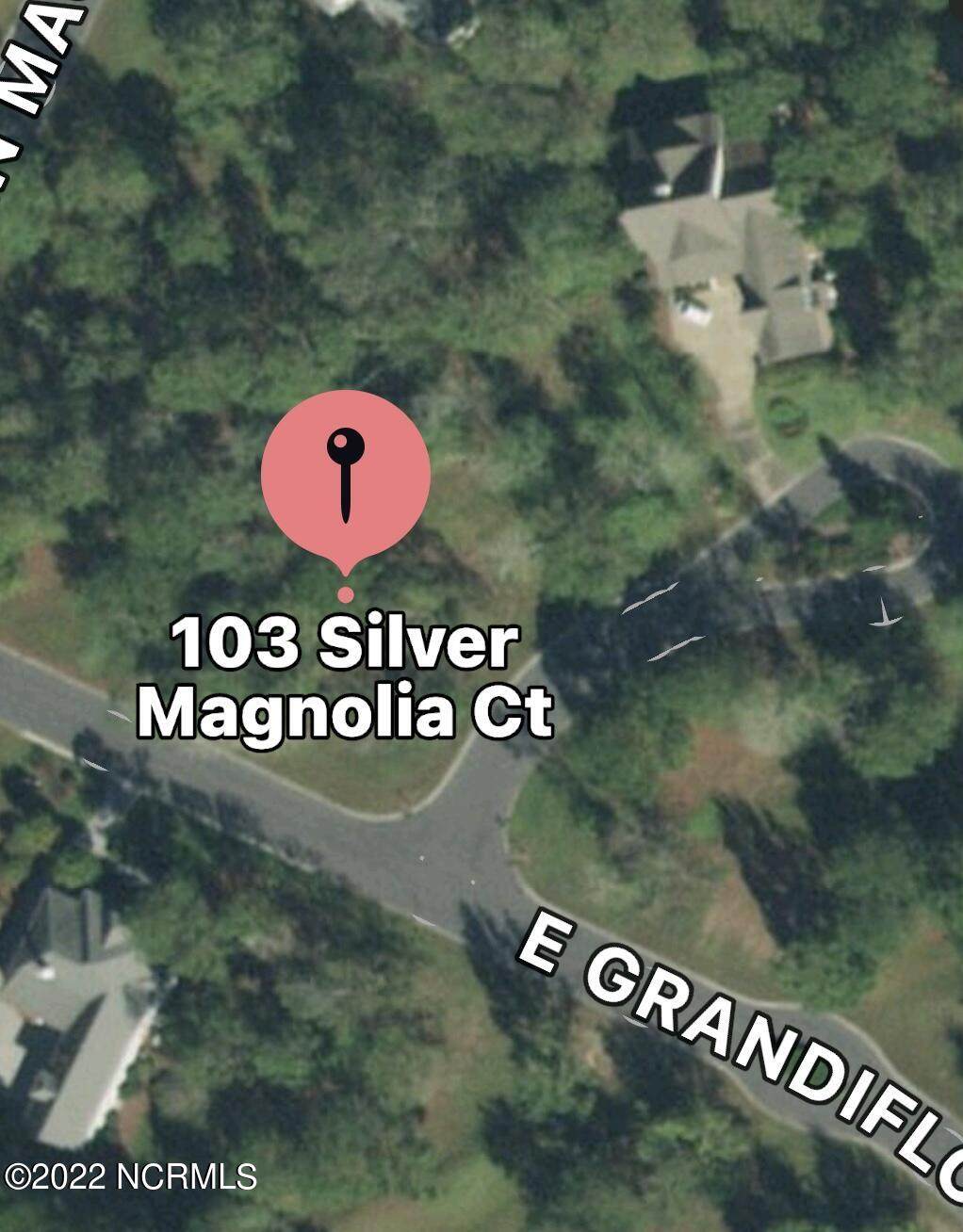 103 Silver Magnolia Court Court - Photo 1