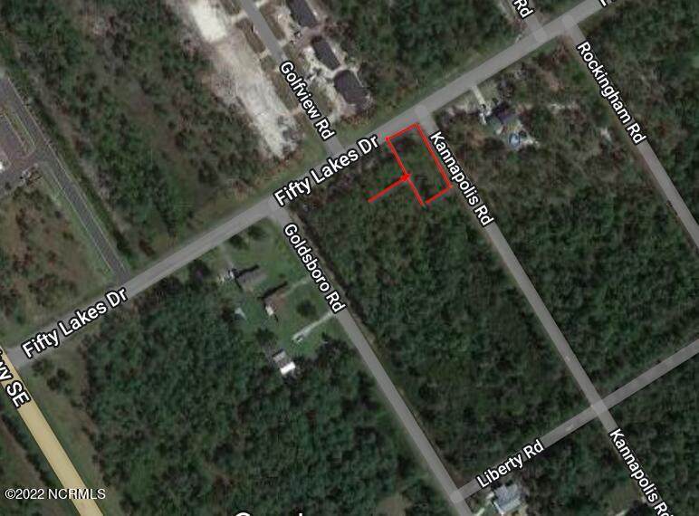 190 Fifty Lakes Drive - Photo 1