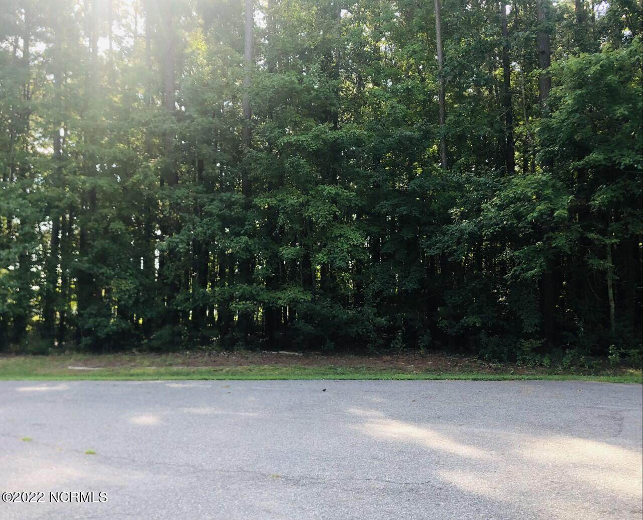 117 Perry Cove Drive - Photo 1
