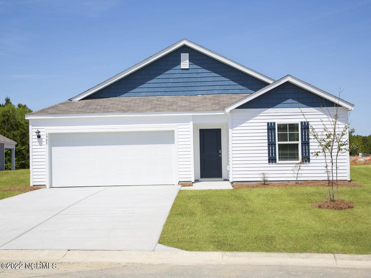 1856 Black Falcon Lane - Photo 1