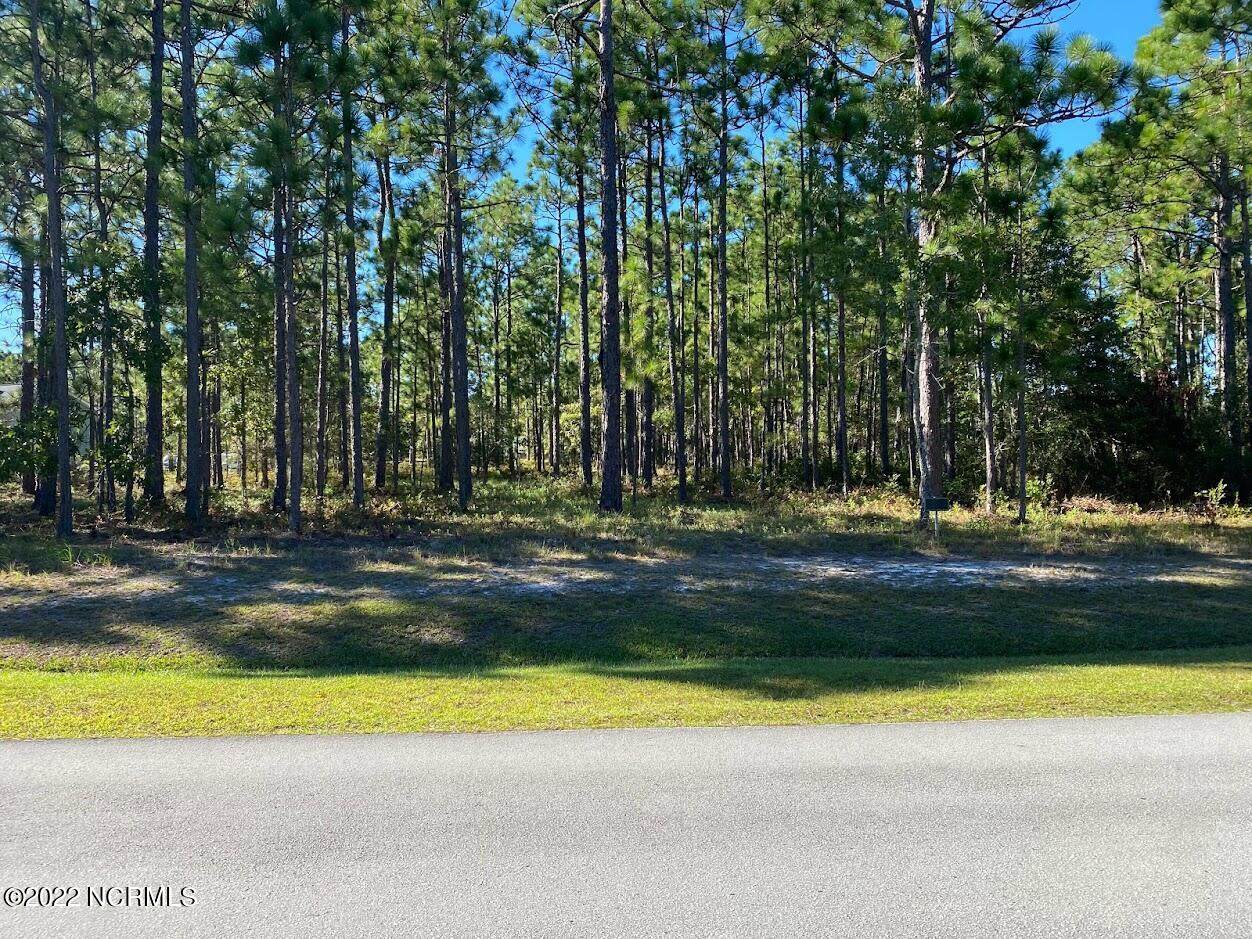 145 Winding Creek Way - Photo 1