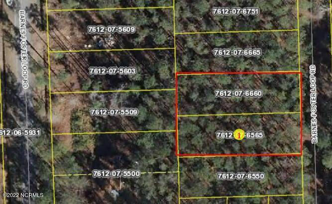 Lot 43/44 Barnes Foster Loop Road - Photo 1