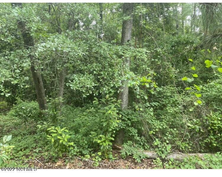 322 Moss Pink Drive - Photo 1