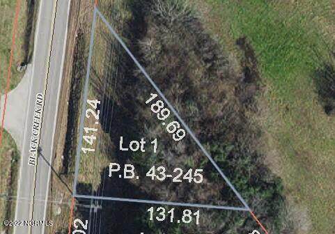 Lot 1 Black Creek Road - Photo 1